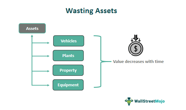 wasting assets