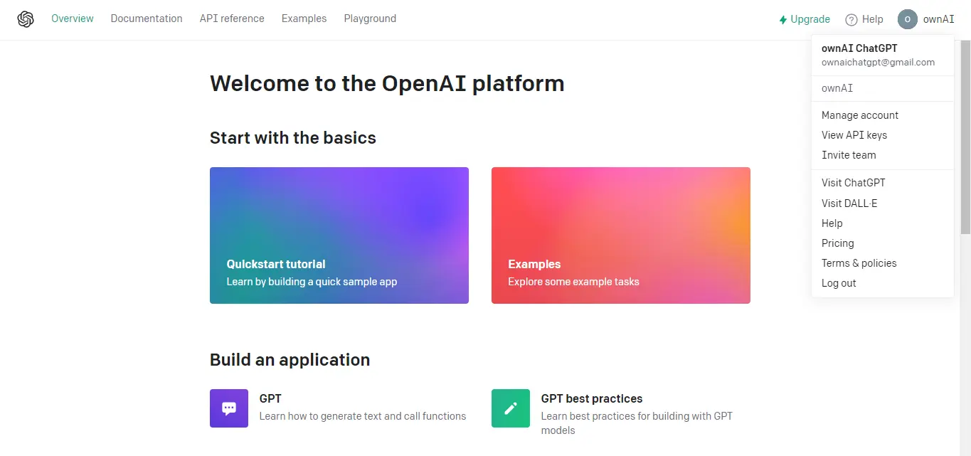 login openai account